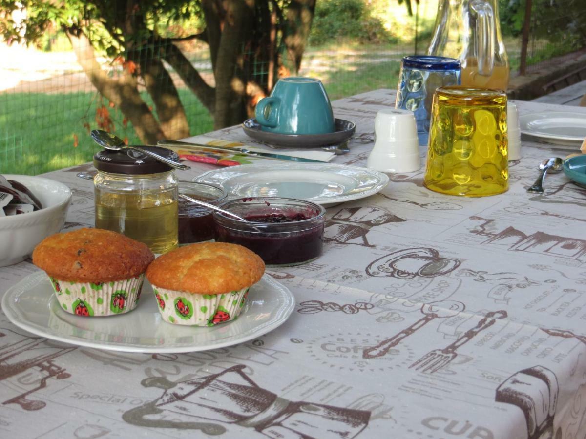 קאסטלמונטה La Bella Dormiente B&B מראה חיצוני תמונה